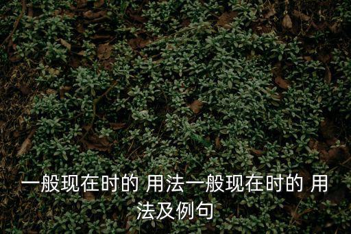 一般現在時的 用法一般現在時的 用法及例句