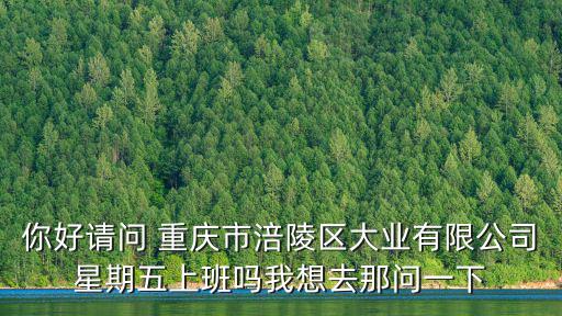 你好請問 重慶市涪陵區大業有限公司星期五上班嗎我想去那問一下