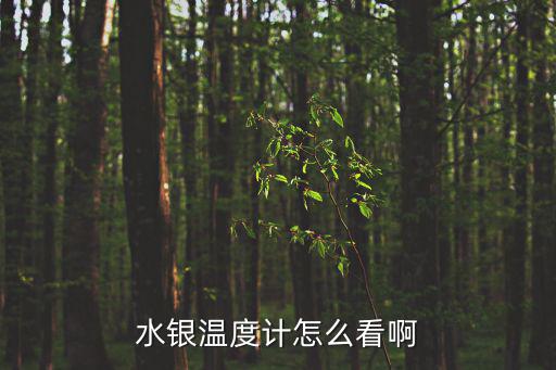 水銀溫度計怎么看啊
