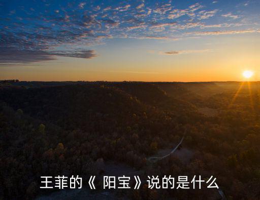陽(yáng)寶,我國(guó)南屏山有幸存者嗎?