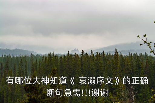 哀溺文序,哀溺文序警醒世人貪財逐利者