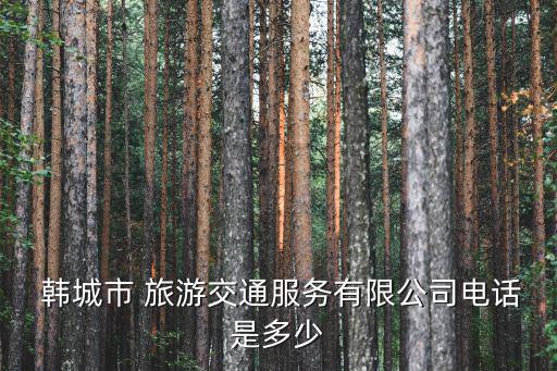 韓城旅游,韓城小吃:羊肉樂和面包店加入當地特色