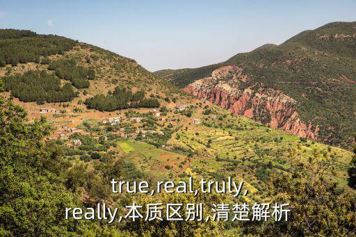  true,real,truly,really,本質(zhì)區(qū)別,清楚解析