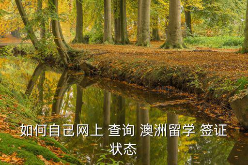 如何自己網(wǎng)上 查詢 澳洲留學 簽證狀態(tài)