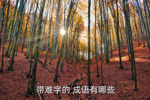 帶難字的成語(yǔ),第二集:我和你一樣希望被選擇