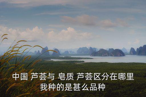 中國 蘆薈與 皂質 蘆薈區分在哪里我種的是甚么品種