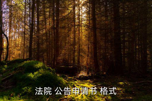 法院 公告申請(qǐng)書 格式