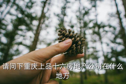 請問下重慶上品十六房地產公司在什么地方