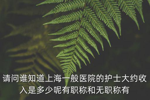 請(qǐng)問誰知道上海一般醫(yī)院的護(hù)士大約收入是多少呢有職稱和無職稱有