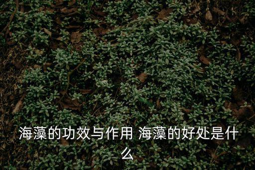  海藻的功效與作用 海藻的好處是什么