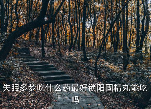 失眠多夢吃什么藥最好鎖陽固精丸能吃嗎