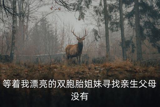 重慶市開縣被拐雙胞胎姐妹，善門口一對20歲左右的雙胞胎姐妹誰認識