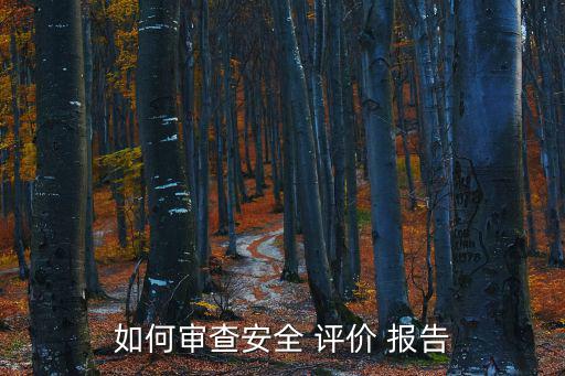 安全評價報告,重大危險源安全評估報告包括以下內容