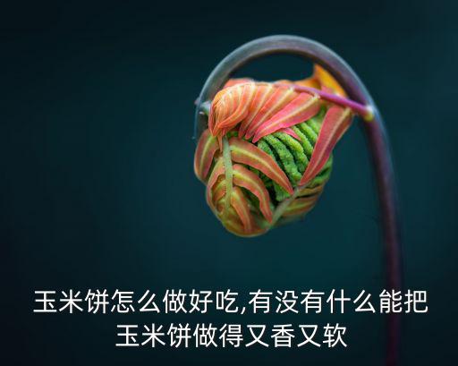  玉米餅怎么做好吃,有沒有什么能把 玉米餅做得又香又軟
