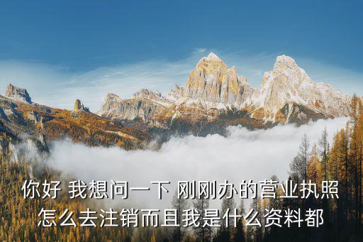 你好 我想問(wèn)一下 剛剛辦的營(yíng)業(yè)執(zhí)照怎么去注銷(xiāo)而且我是什么資料都