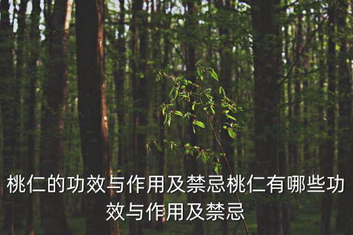 桃仁的功效與作用及禁忌桃仁有哪些功效與作用及禁忌