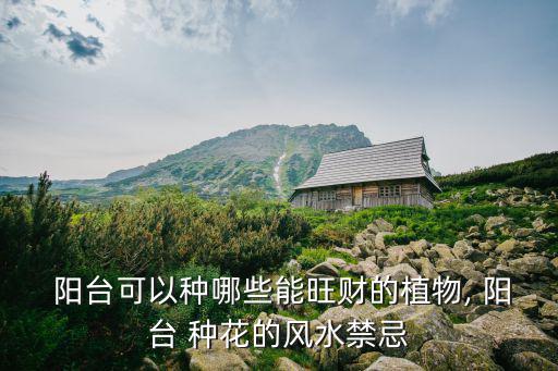 陽臺種花,朝北陽臺:不怕烈日!適合種植不怕熱的花卉