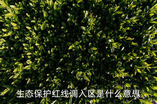 生態(tài)保護紅線調(diào)入?yún)^(qū)是什么意思