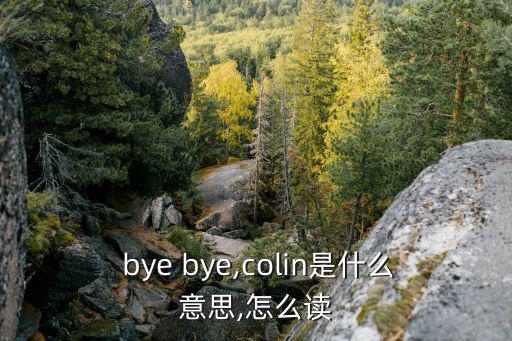  bye bye,colin是什么意思,怎么讀