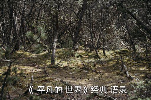 平凡的世界語錄,生活包含更廣泛意義