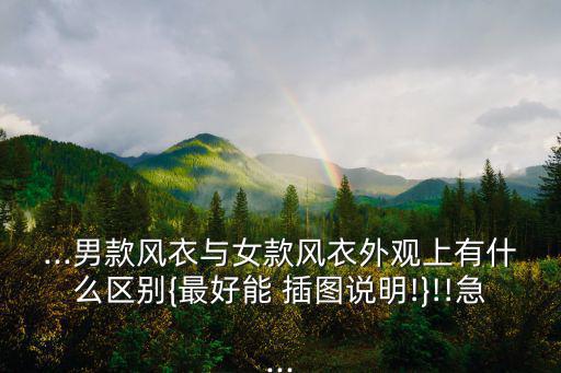 ...男款風(fēng)衣與女款風(fēng)衣外觀上有什么區(qū)別{最好能 插圖說(shuō)明!}!!急...