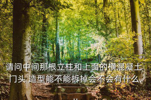 請問中間那根立柱和上面的橫混凝土 門頭 造型能不能拆掉會不會有什么...