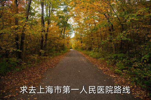 求去上海市第一人民醫(yī)院路線