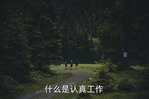 什么是認真工作