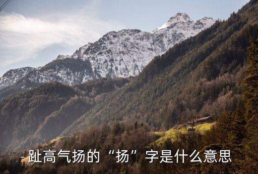 趾高氣揚的近義詞,虧損滿滿收益不大等貶義詞組成趾高氣揚句