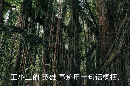 王小二的 英雄 事跡用一句話概括.
