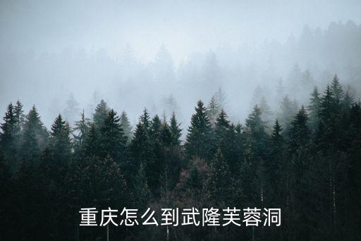 重慶怎么到武隆芙蓉洞