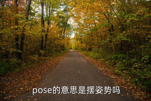 pose,英文原文:這幾個詞是什么意思?