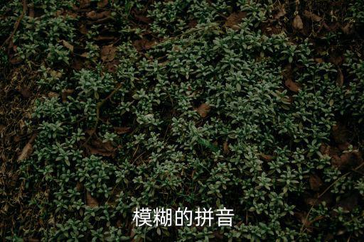  模糊的拼音