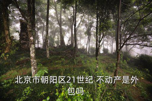  北京市朝陽(yáng)區(qū)21世紀(jì) 不動(dòng)產(chǎn)是外包嗎