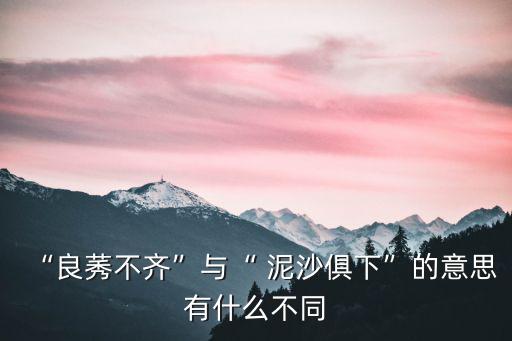 “良莠不齊”與“ 泥沙俱下”的意思有什么不同