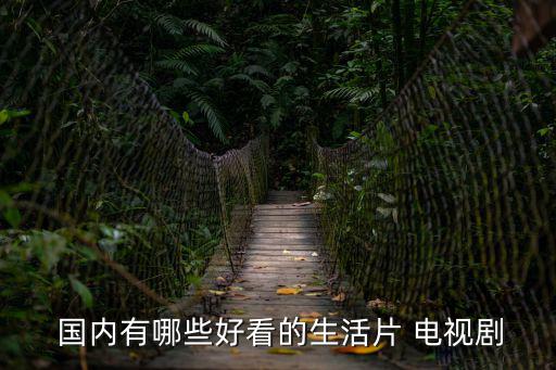  國內有哪些好看的生活片 電視劇