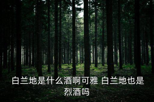 白蘭地是什么酒啊可雅 白蘭地也是烈酒嗎