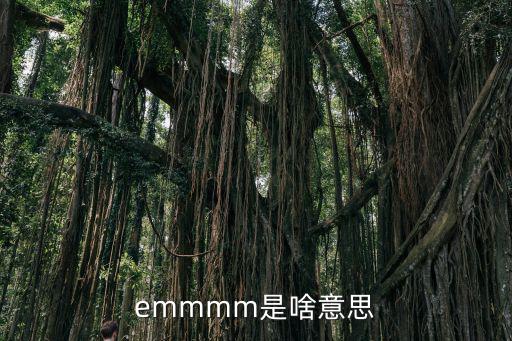 emmmm是啥意思