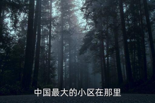 中國最大的小區在那里