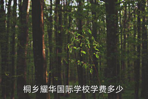 廣州耀華國際學(xué)校學(xué)費多少錢，桐鄉(xiāng)耀華國際學(xué)校學(xué)費多少