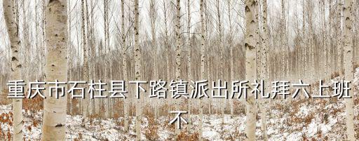 重慶市石柱縣下路鎮派出所禮拜六上班不