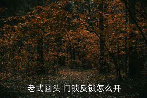 老式門(mén)鎖,老式門(mén)鎖開(kāi)門(mén)更利索小偷也能撬鎖