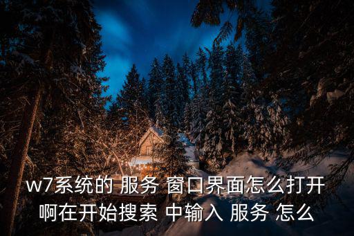 w7系統的 服務 窗口界面怎么打開啊在開始搜索 中輸入 服務 怎么