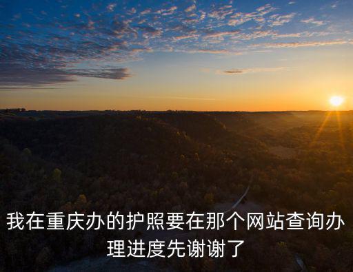我在重慶辦的護(hù)照要在那個(gè)網(wǎng)站查詢(xún)辦理進(jìn)度先謝謝了