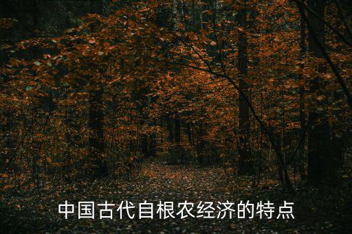 中國(guó)古代自根農(nóng)經(jīng)濟(jì)的特點(diǎn)