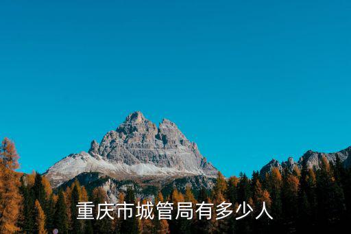 重慶市城管局有多少人