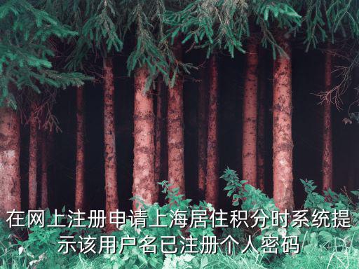 在網上注冊申請上海居住積分時系統提示該用戶名已注冊個人密碼
