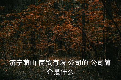 濟寧萌山 商貿(mào)有限 公司的 公司簡介是什么