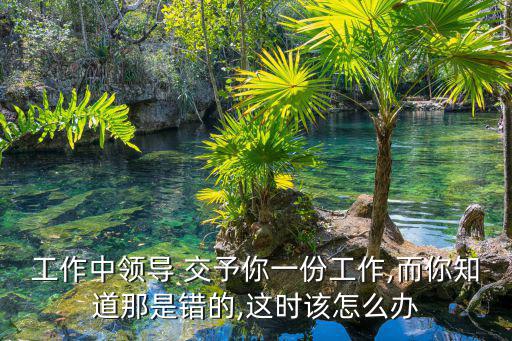工作中領導 交予你一份工作,而你知道那是錯的,這時該怎么辦