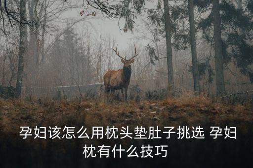 孕婦枕,孕婦枕頭選購注意事項